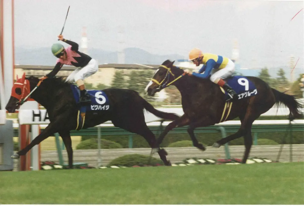 95年の阪神3歳牝馬S。2着のエアグルーヴに半馬身差で優勝したビワハイジ