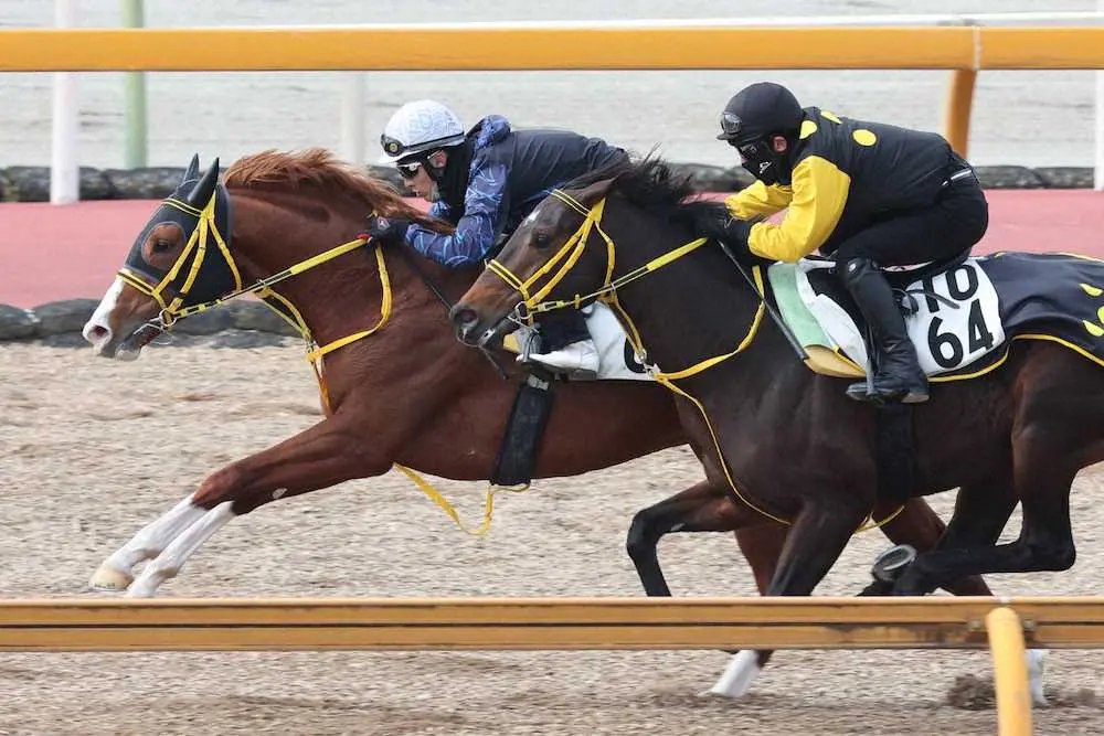 藤岡佑介が騎乗し、併せ馬に先着したジャックドール（左）