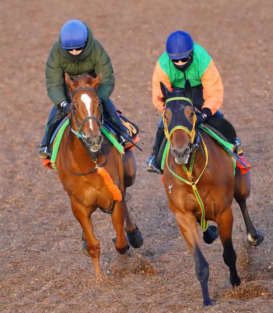 【フラワーC】モカフラワー開花！3歳馬美浦最速ラスト1F11秒2、“最後の桜切符”つかみ取る