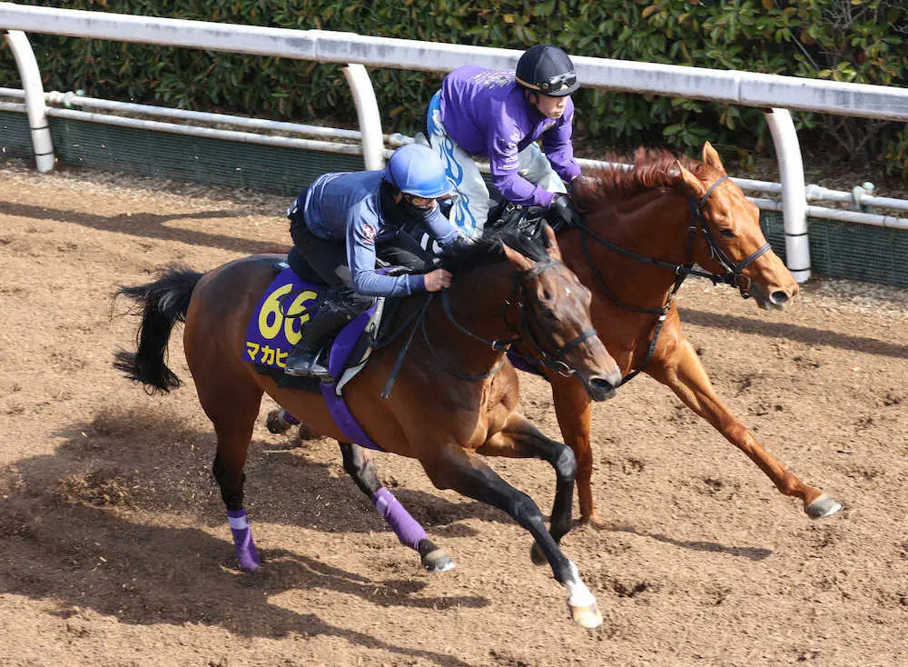 【大阪杯】マカヒキ　好時計で併入、友道師大満足「さすがの動き」