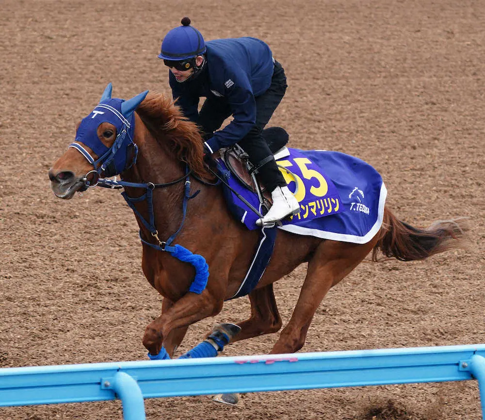 【大阪杯】ウインマリリン　馬なりでも強烈に伸びた、松岡「体調がだんだん上がってきている」
