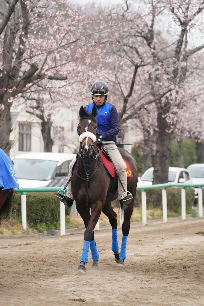 【桜花賞】サークルオブライフ　国枝師は瞬発力期待「長くいい脚を使える長所生かせれば」