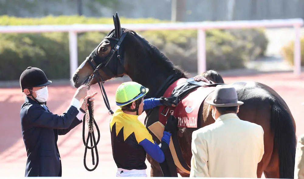 【阪神牝馬S】アカイトリノムスメ、右後肢ハ行のため競走除外