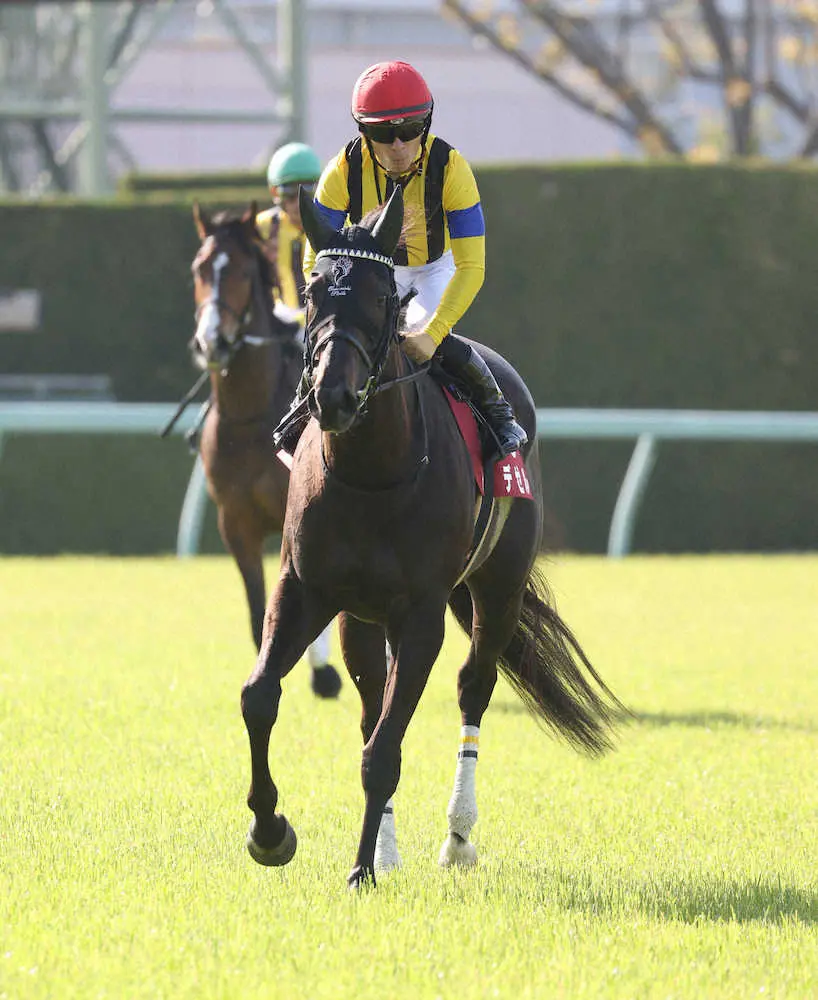 【阪神牝馬S】昨年覇者・デゼルは3着　川田「内容としては去年より、はるかにいい」