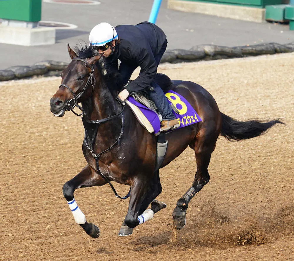 【皐月賞】ボーンディスウェイ　前走から上積み十分　ラスト1F11秒5、石橋「前回よりいい」