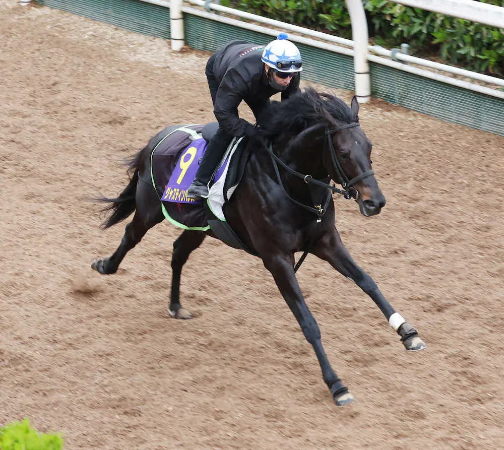 【皐月賞】ジャスティンパレス　久々に思えない良さ、杉山晴師は満足「精神的に成長」