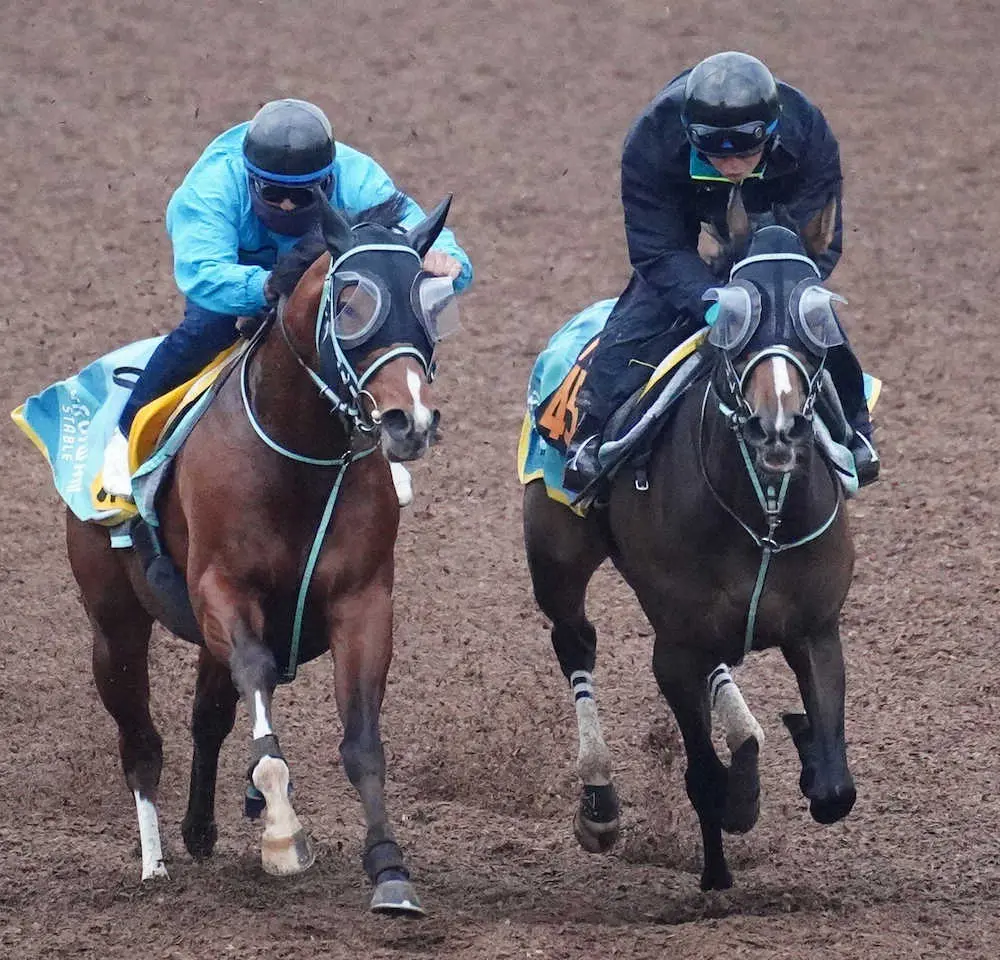 【フローラS】ルージュエヴァイユ　樫切符へ軽快！サラッと2馬身先着で好仕上がり