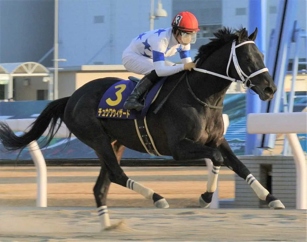 【画像・写真】ドバイWC3着チュウワウィザード6・29大井・帝王賞参戦　G1・5勝目を狙う