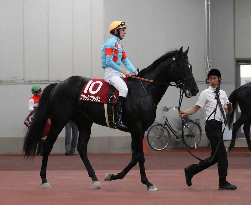 【京都新聞杯】1番人気のブラックブロッサムは5着　レーン「リズム良く走ることができなかった」