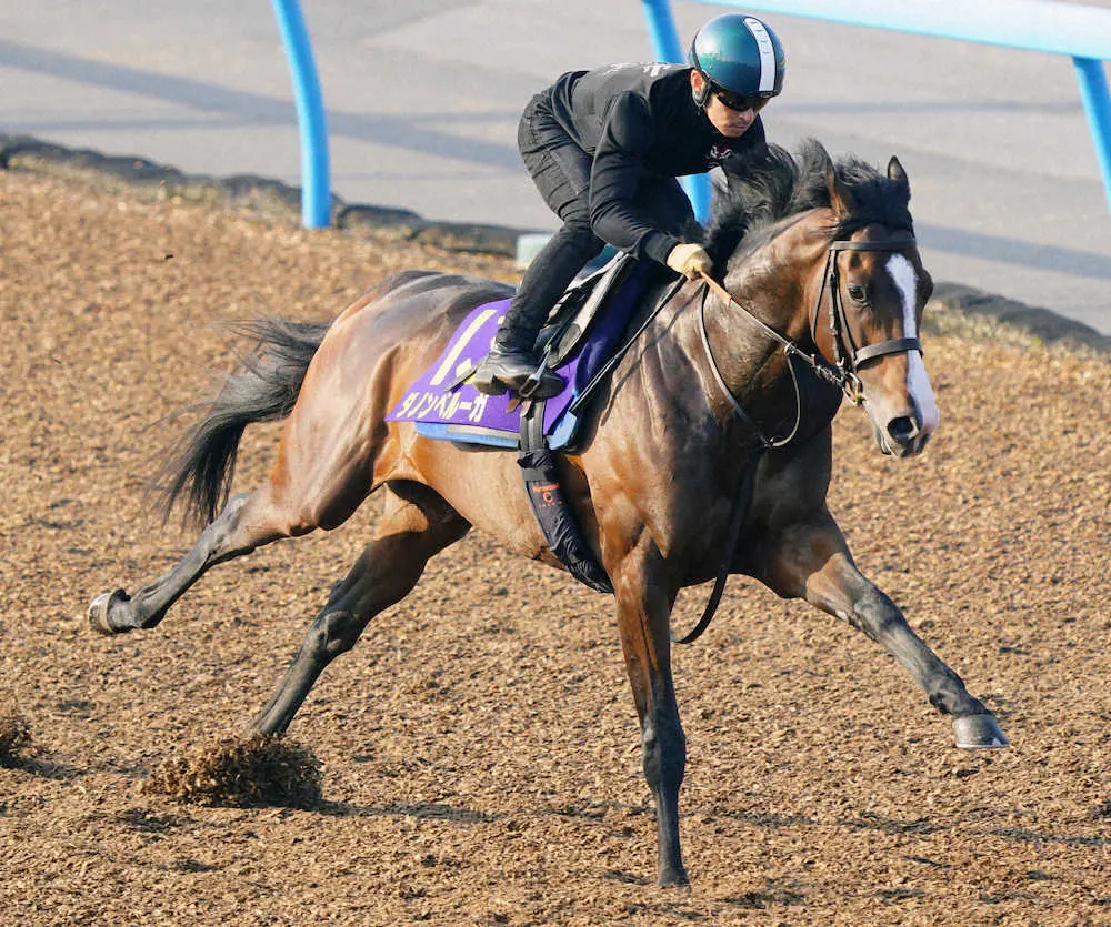 【日本ダービー1週前追い】ダノンベルーガ 　川田が最後まで緩めず好時計6F77秒9