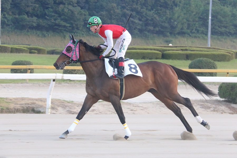 【佐賀・佐賀ヴィーナスカップ】22日発走　地力の高いダノンレジーナを中心視　有力馬を紹介