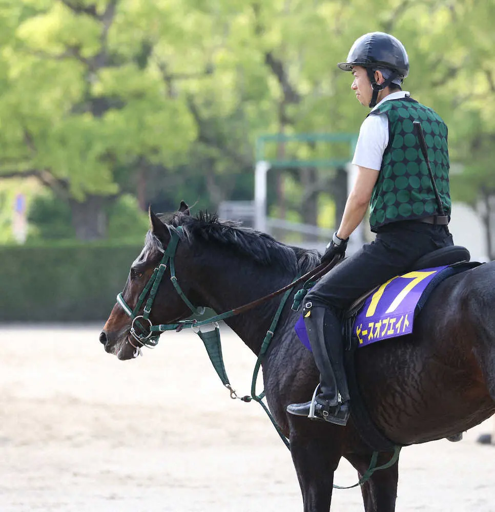 【日本ダービー】ピースオブエイトの奥村豊師「本当にポテンシャルの高い馬」