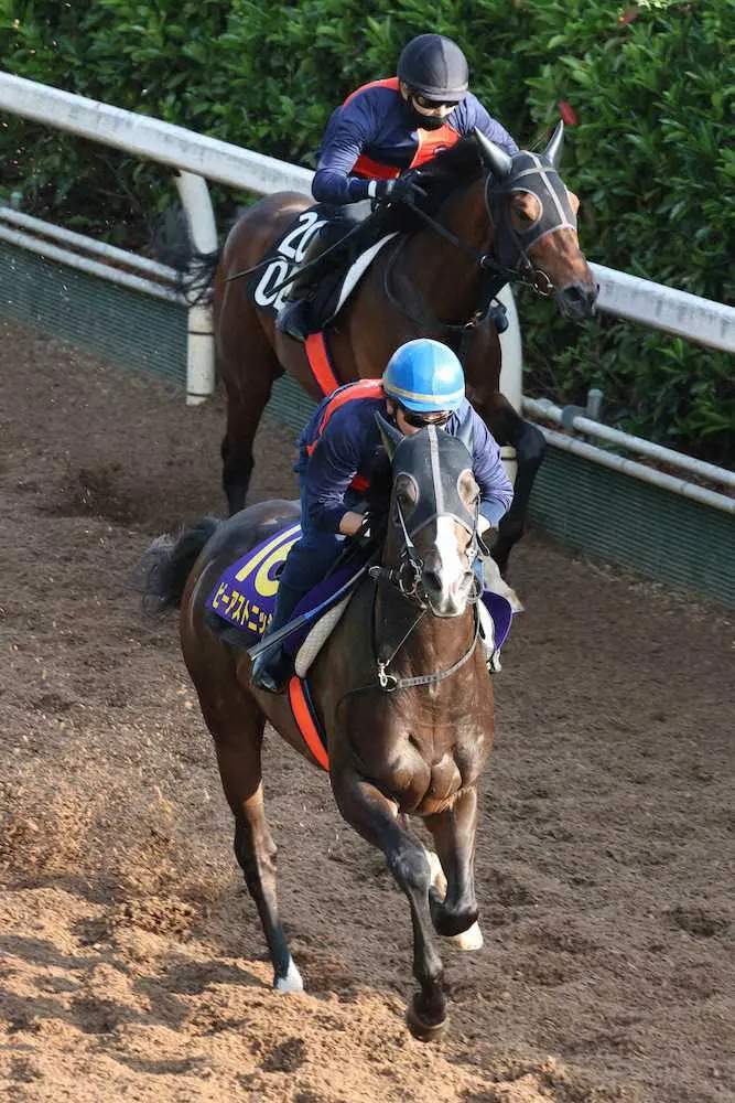 柴田未崎が乗り（レースは和田竜）、併せ馬に先着するビーアストニッシド（手前）