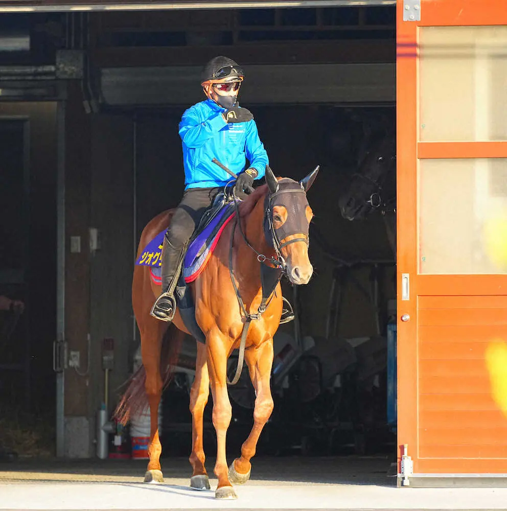 【日本ダービー】2冠狙うジオグリフは7枠15番　太田助手「何とか馬がゲート内で我慢してくれれば」
