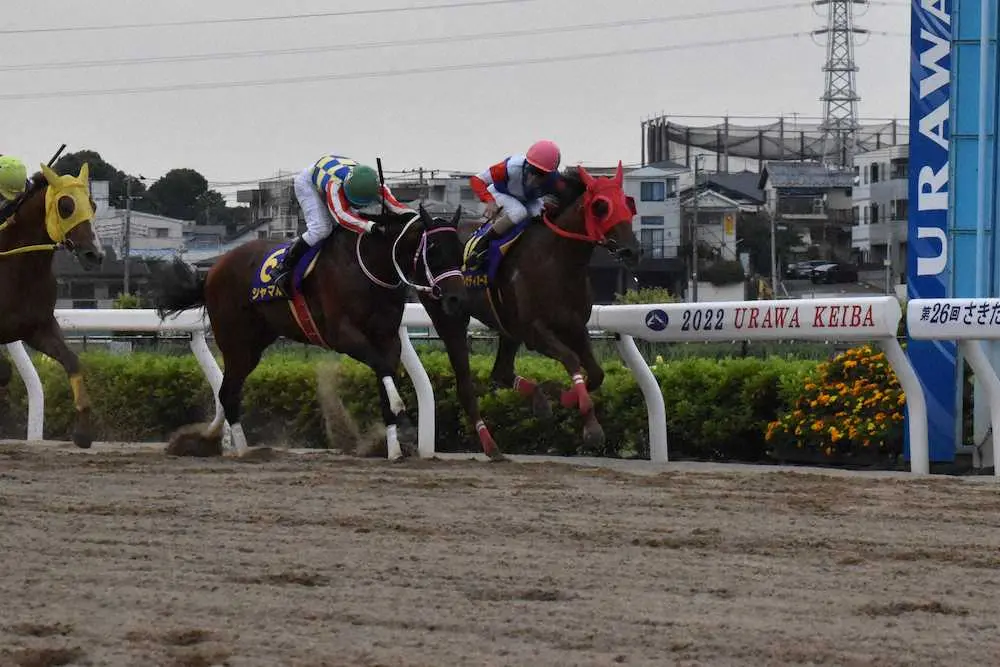 【浦和・さきたま杯】8歳牝馬サルサディオーネが重賞7勝目、大接戦制した