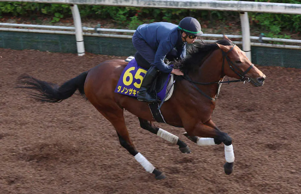 【安田記念】ダノンザキッド　迫力満点の馬体、安田隆師「軽めでも凄く良かった」