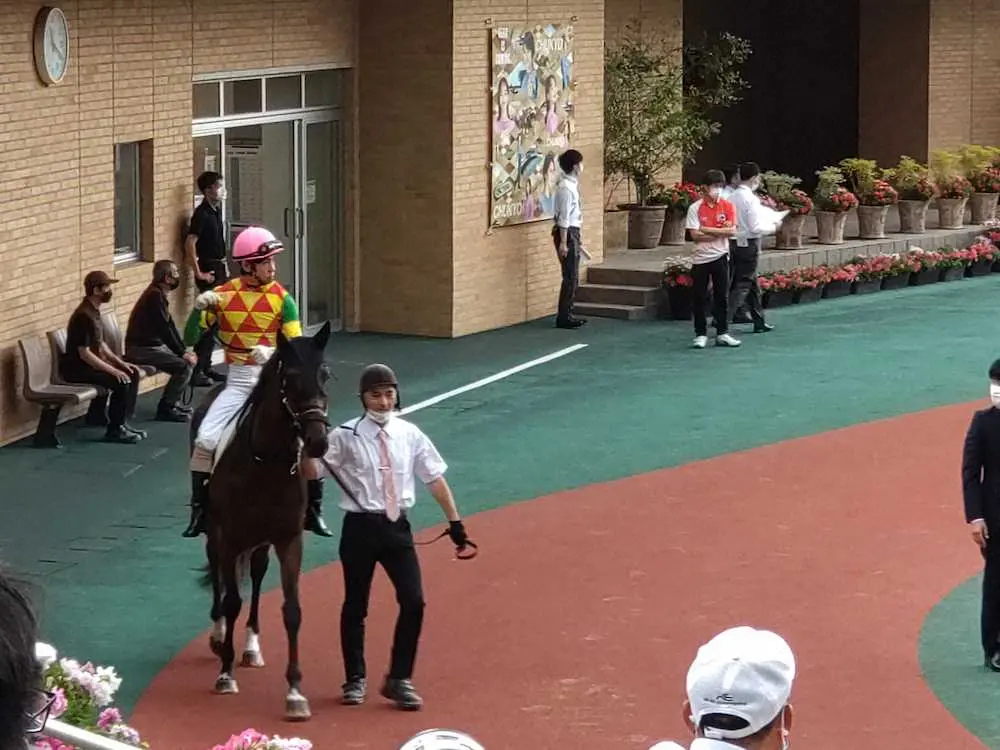 落馬負傷から1年1カ月ぶりに復帰した北村友一騎手が中京競馬場のパドックでティンタルレ（牝3＝田中克）にまたがる