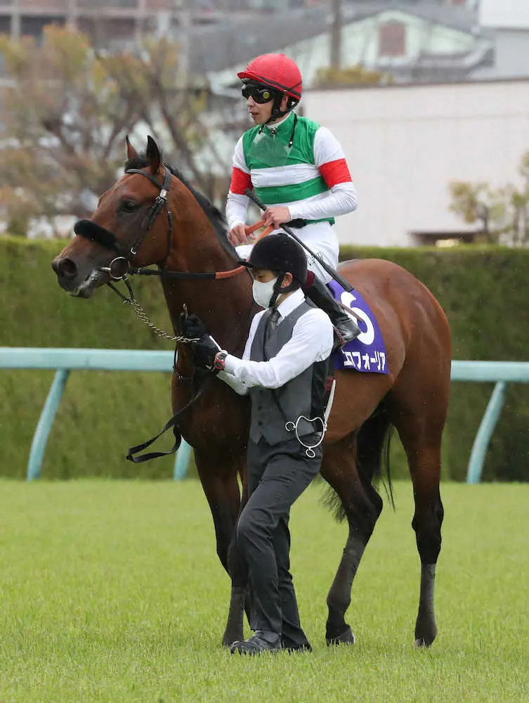 【宝塚記念】エフフォーリアの鹿戸師　大阪杯9着から逆襲へ「強い馬だと信じている」
