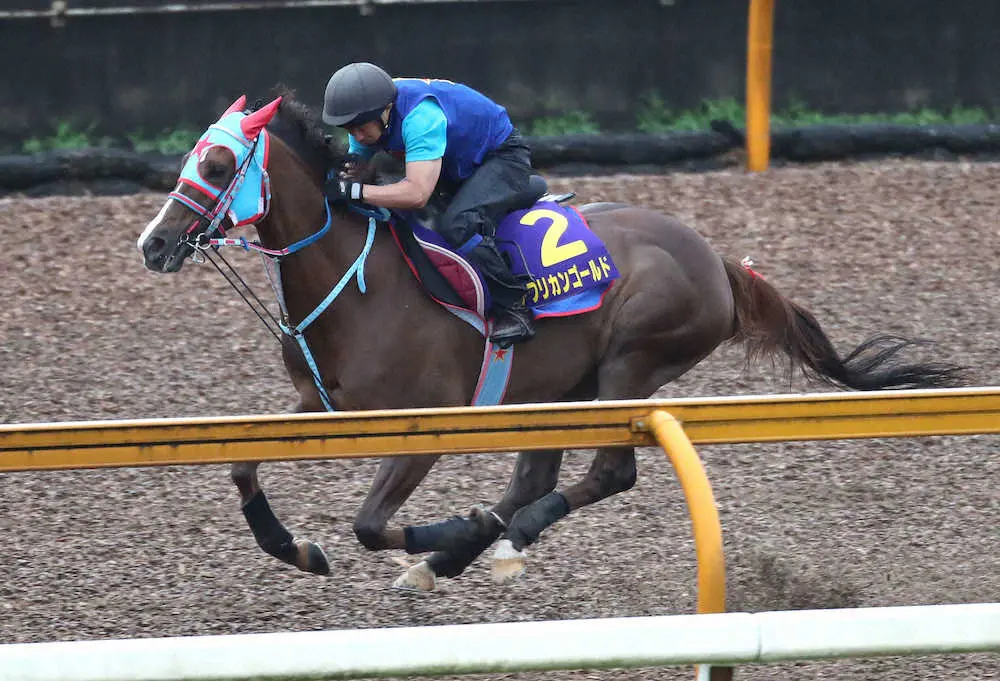 【宝塚記念】アフリカンゴールド　しまい重視で気合注入、西園正師「自分の競馬でどこまでやれるか」