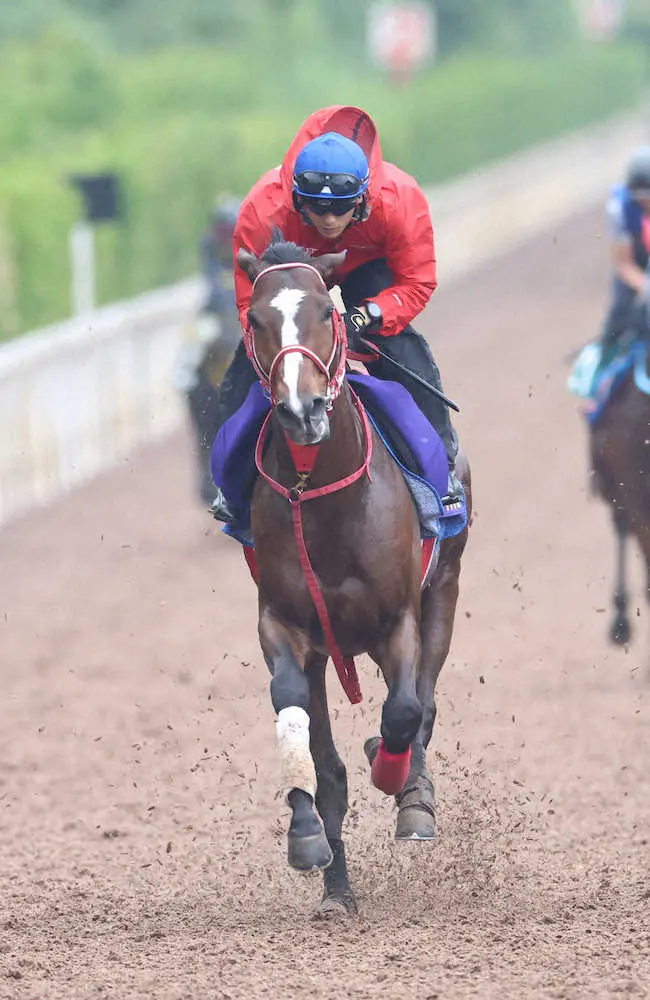 【宝塚記念】ステイフーリッシュ　坂路でビッシリ！陣営「ここまで順調」