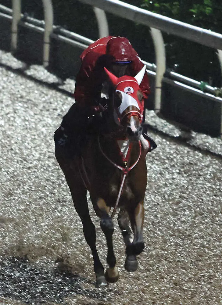 英遠征キングエルメス＆バスラットレオン現地到着　荒木助手「2頭とも順調」