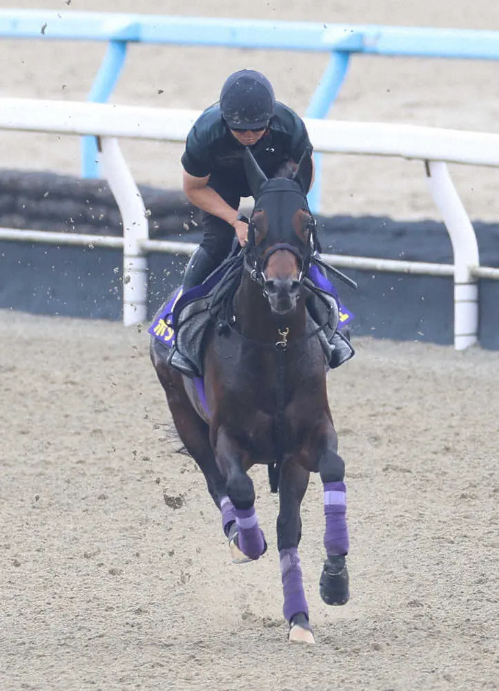 【宝塚記念】ポタジェ 時計以上の動き！リズム良く流して友道師も満足仕上げ