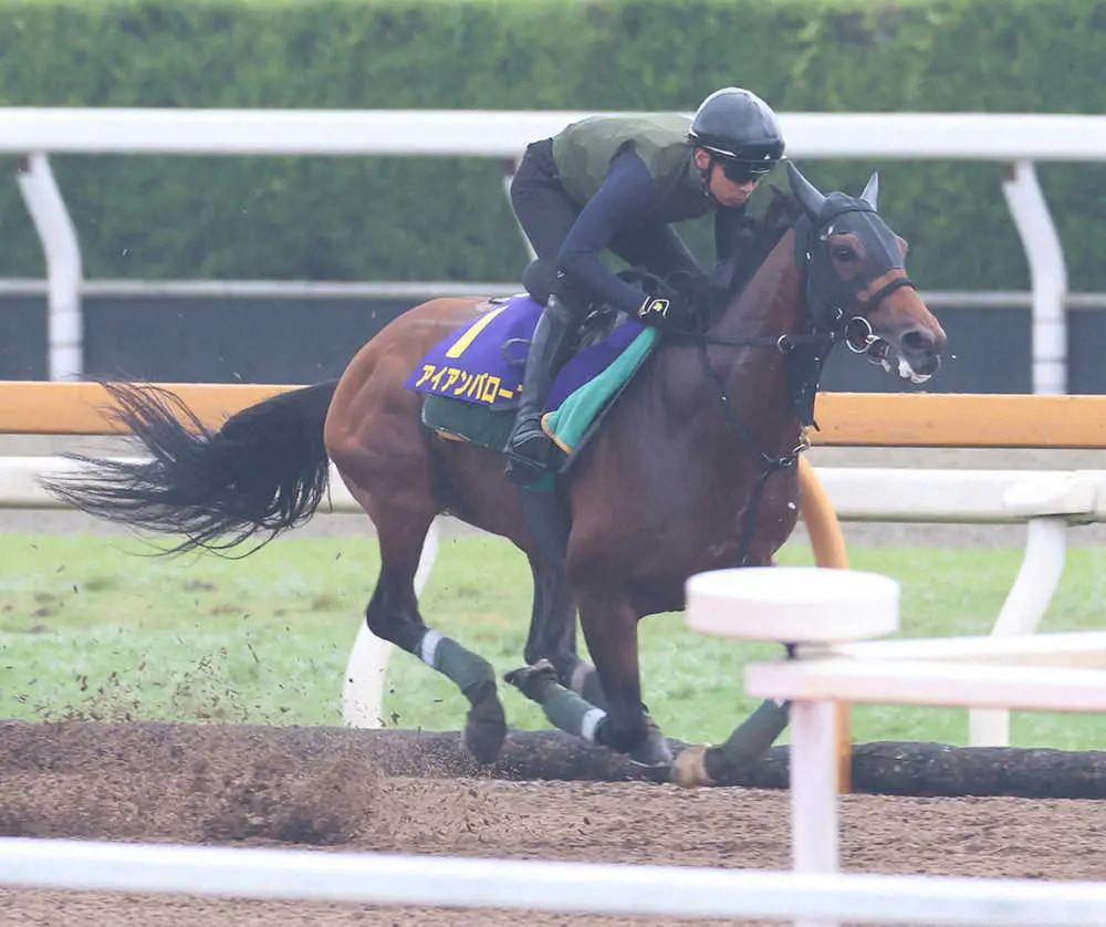 【宝塚記念】アイアンバローズ　馬なり単走順調仕上げ、陣営「消耗戦になってほしい」