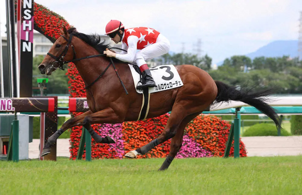 【阪神5R新馬】ルメール騎乗のカルロヴェローチェ、高額馬撃破でデビューV