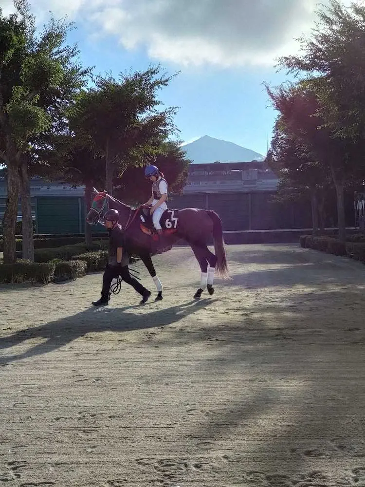 土曜朝、小倉競馬場でテイエムスパーダ（牝3＝五十嵐）の調教に騎乗した今村聖奈