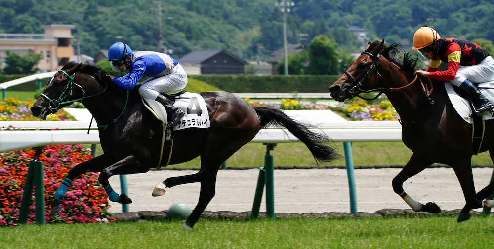 【福島新馬戦】ナチュラルハイ　押し切って快勝、黒岩師「自信があった」