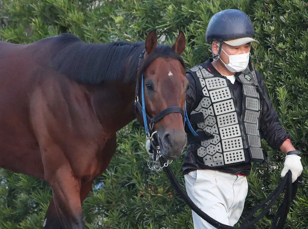 【中京記念】サマー重賞は高齢馬を狙え！8歳カデナが熱い　体調管理に経験の差