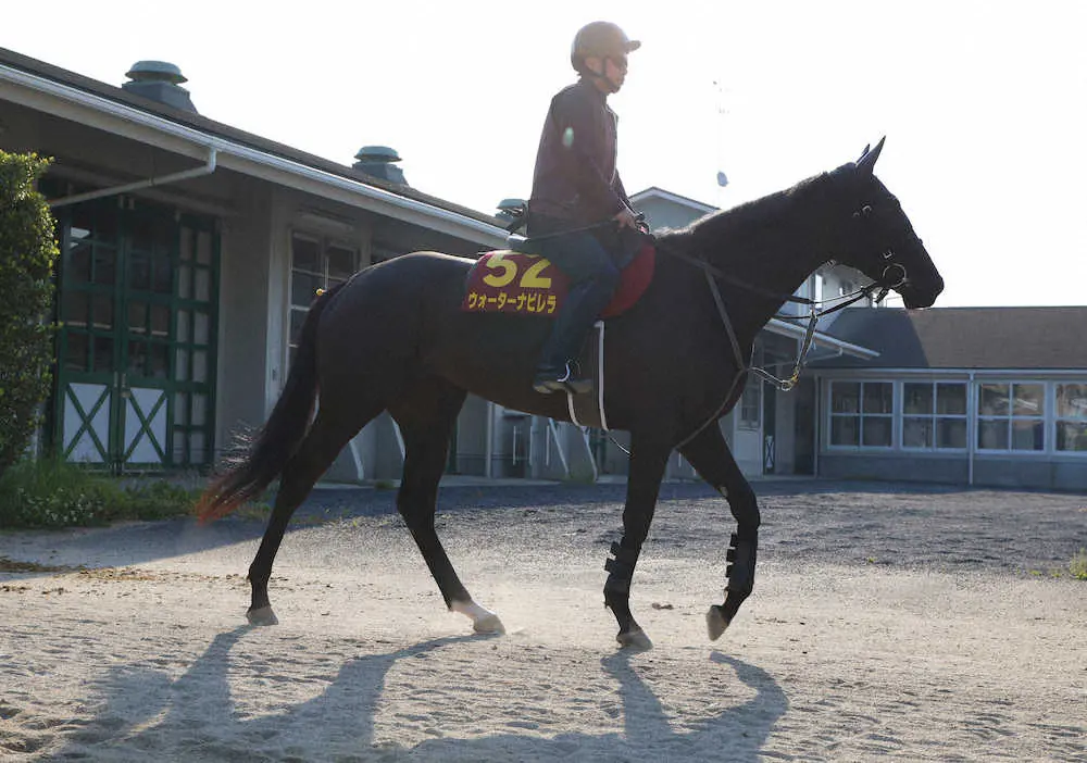 【クイーンS】桜花賞2着の3歳馬ウォーターナビレラ