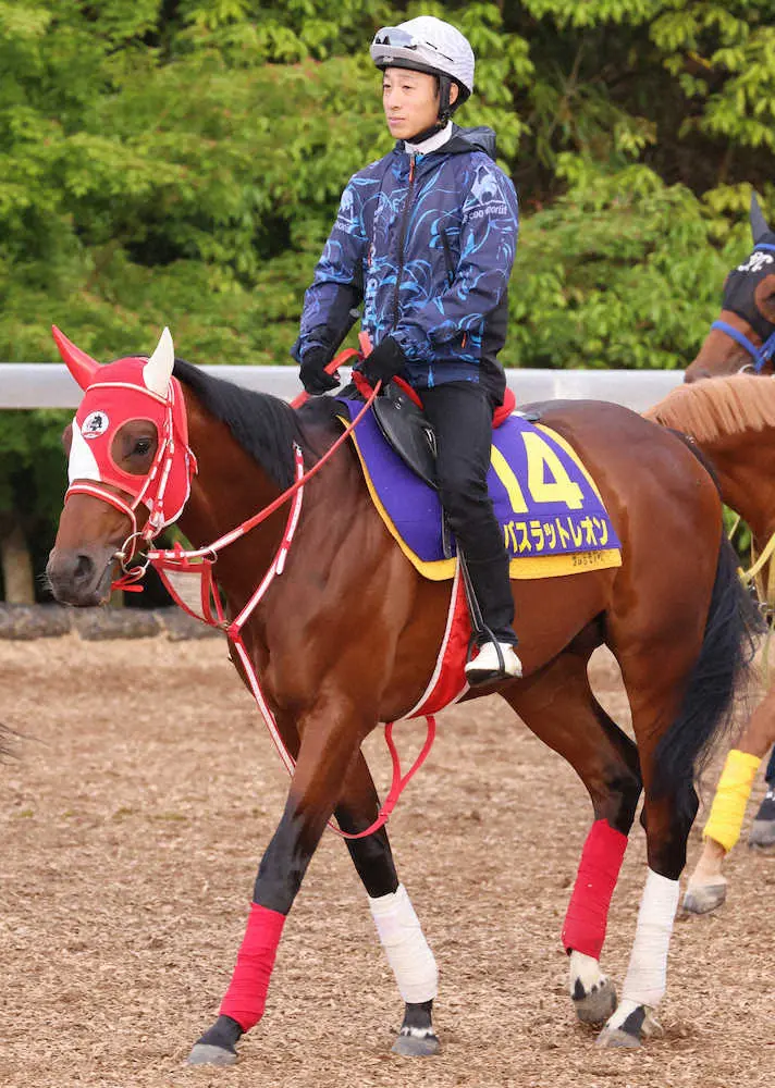 【仏G1ジャックルマロワ賞】バスラットレオン　24年ぶり日本調教馬Vへ、矢作師「具合はいい」