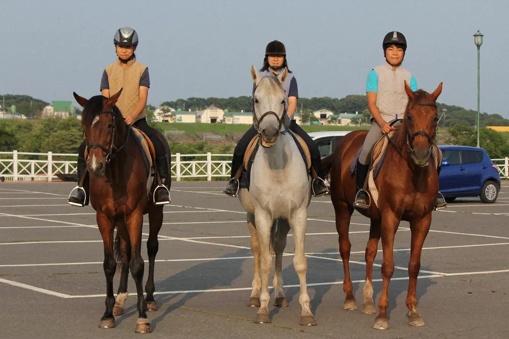 新冠乗馬スポーツ少年団の子供を背にする（左から）フォーカルポイント、クーリンガー、ライブリマウント（14年撮影）