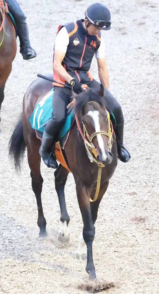 【小倉新馬戦】バルサムノート　母は短距離重賞2勝も中距離合う、1週前追いで目を引く伸び