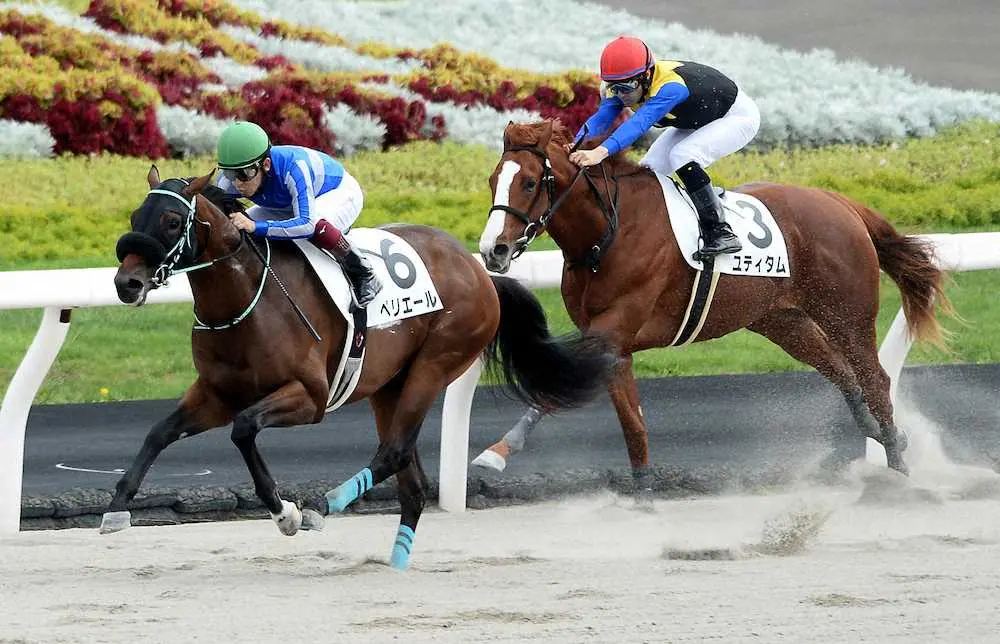 【札幌5R新馬】2億円馬のユティタムは2着　ペリエールが勝利