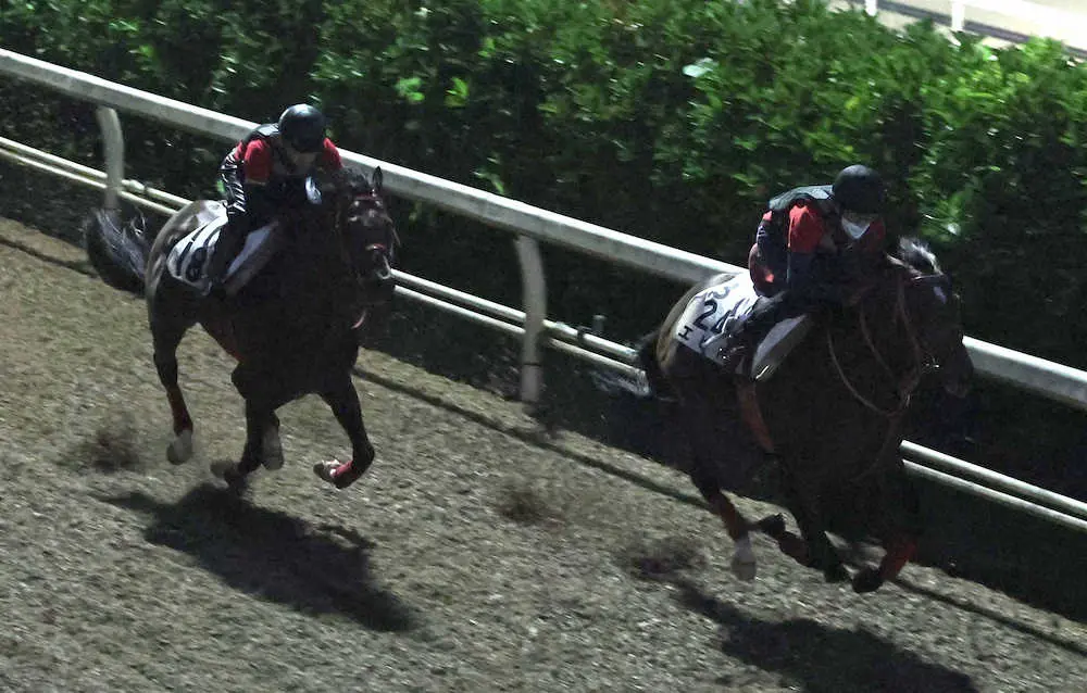 【新潟記念】エヒト　攻めの仕上げ、森厩舎06年以来のサマー2000シリーズ制覇へ