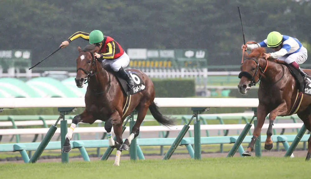 【シンボリクリスエスC】バトルボーン　一騎打ち制して3連勝、ルメールも称賛