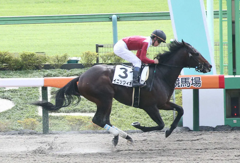 【東京新馬戦】イニッツィオ楽勝！ノーステッキで後続を2馬身半完封
