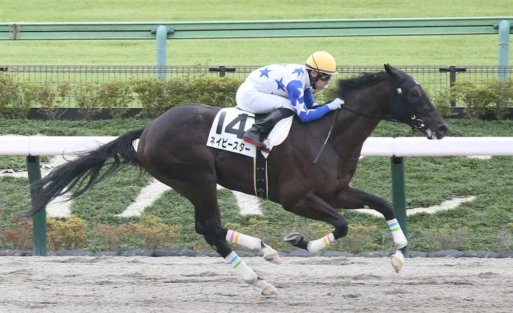 【東京4R新馬】ネイビースター3馬身差完勝　吉田隼「能力だけで勝った」