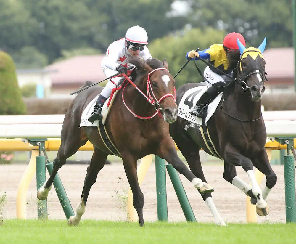 【東京5R新馬】ミッキーカプチーノ接戦制した！戸崎は年間100勝達成