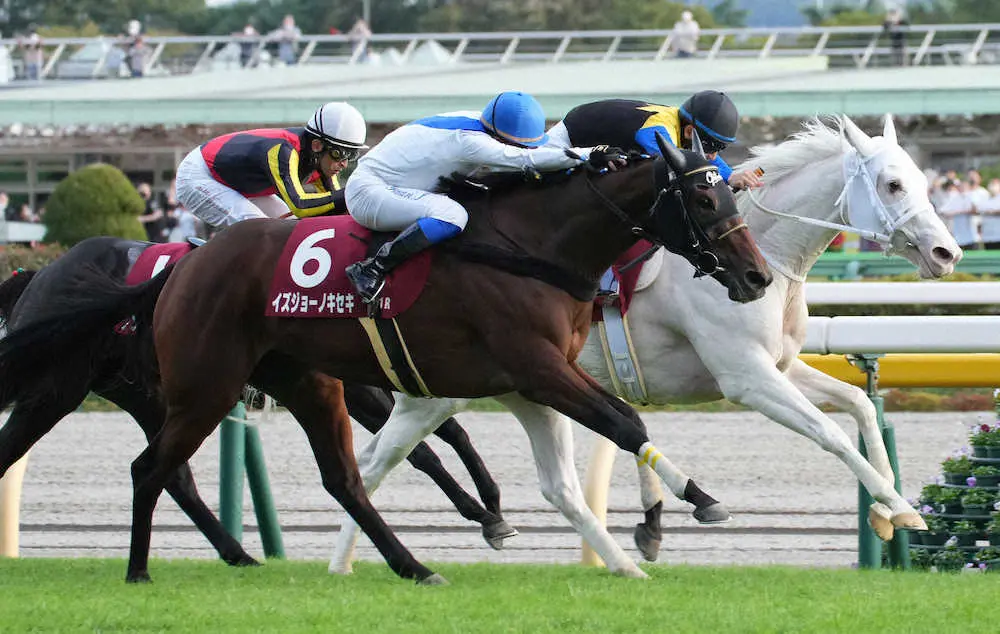 【府中牝馬S】“白毛のアイドル”ソダシは2着、札幌記念5着に続いて連敗　イズジョーノキセキがV
