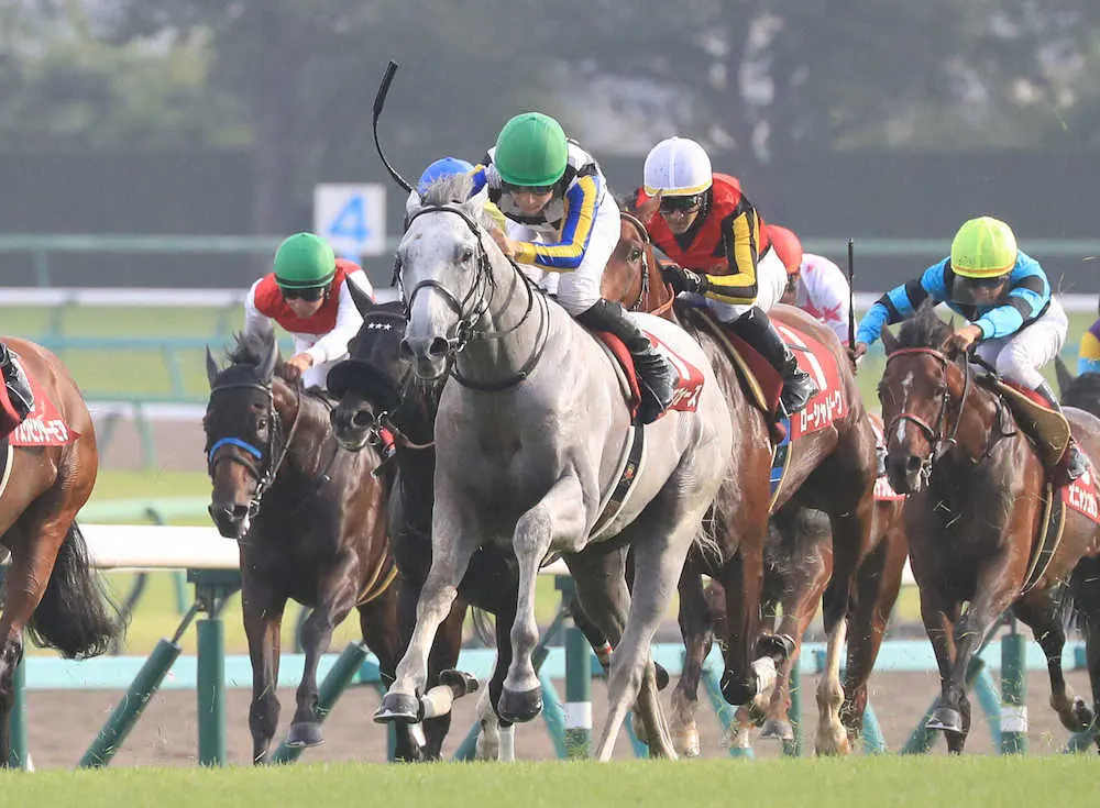 【菊花賞】ガイアフォースの松山「自分の形で競馬を」　キタサンブラックとの父子制覇へ「夢が広がる」