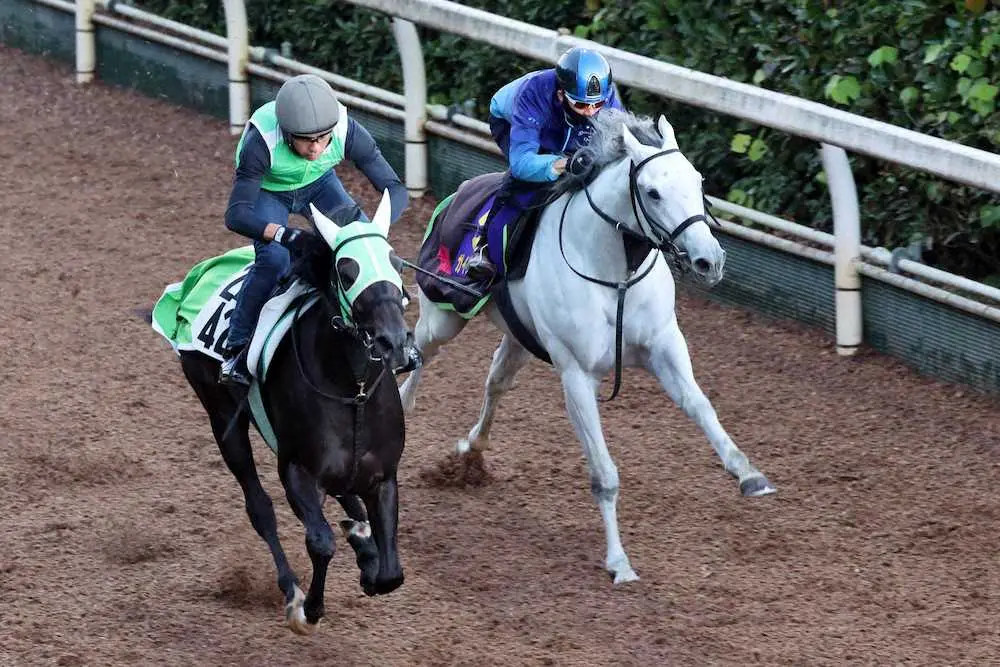 松山弘平が騎乗し、坂路で他厩舎の馬と併せる形となったガイアフォース（右）