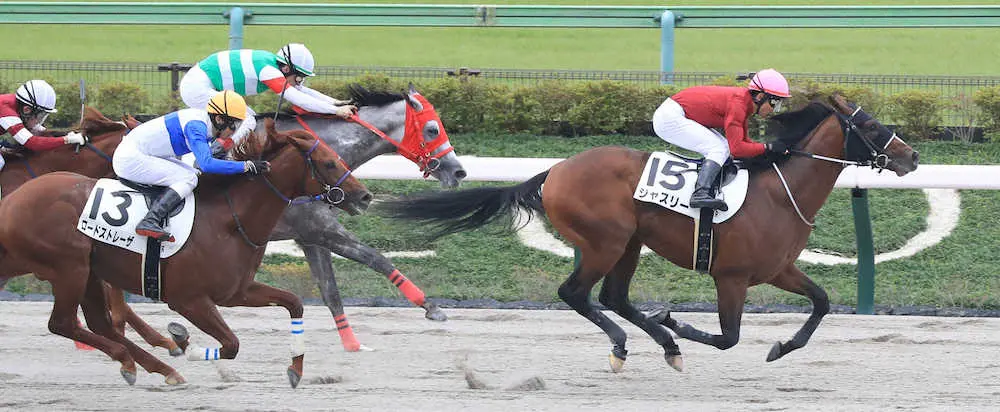 【東京6R新馬】ジャスリー直線外強襲V！　田島師「血統的にもダートで」