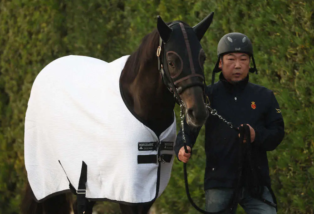 【天皇賞・秋】（8）シャフリヤール　たくましく成長、藤原師「いい状態で出せる」