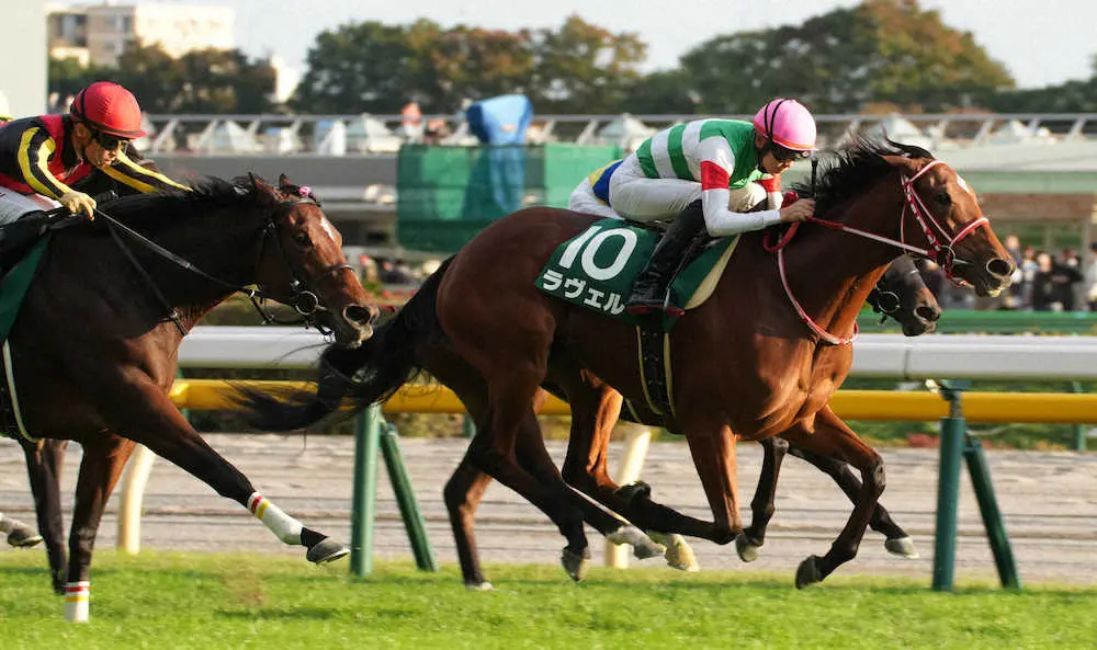 【アルテミスS】断然1番人気リバティアイランドは2着　川田「進路のない競馬になってしまいました」