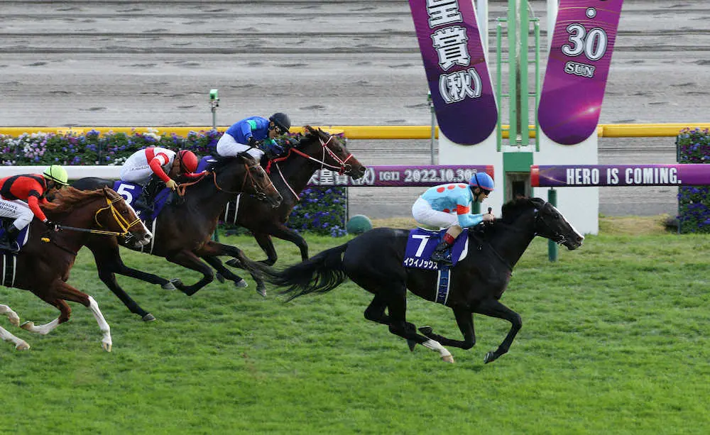 12・11香港国際競走　パンサラッサ、ジャンダルムなど日本馬14頭が遠征