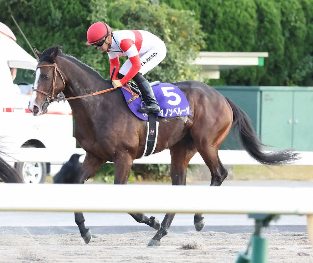 【天皇賞・秋】ダノンベルーガは3着　川田「最後も素晴らしい脚を使ってくれました」