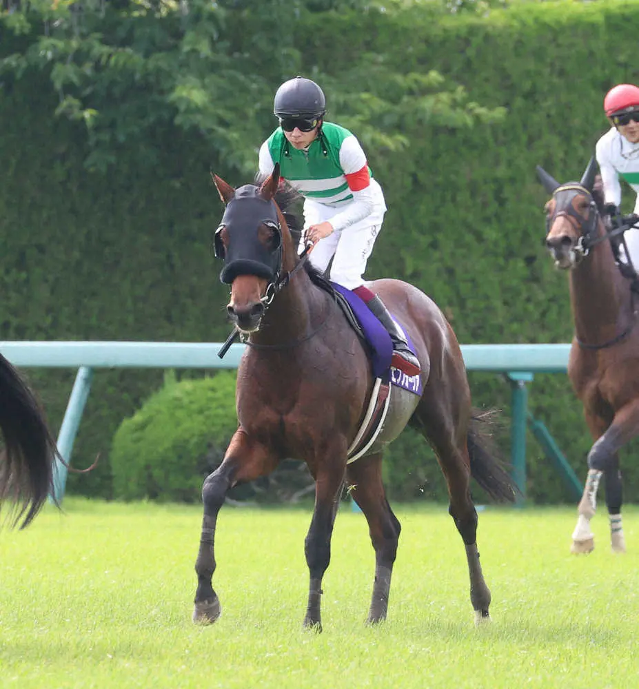 有馬記念を目指すエフフォーリア、北海道から福島県に移動